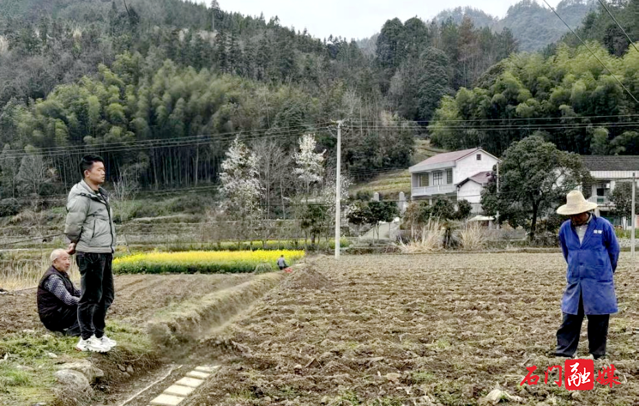 太平镇：大豆玉米“共生”种植 激活土地增产潜能1.jpg