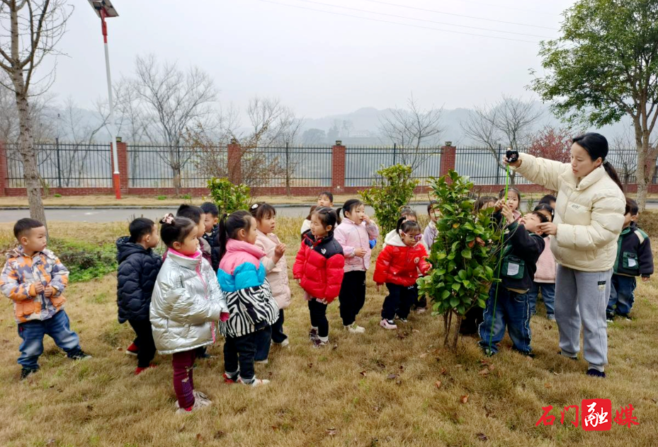 雁池乡中心幼儿园:春风十里 有树有你1.jpg 雁池乡中心幼儿园:春风十里 有树有你1.jpg