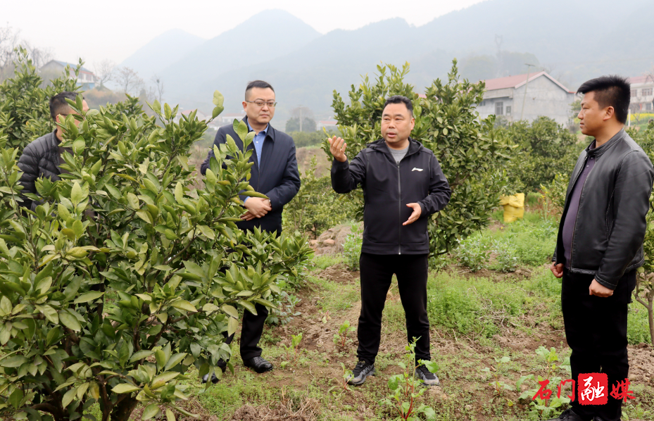 县领导赴新铺镇调研指导乡村振兴工作2.jpg 县领导赴新铺镇调研指导乡村振兴工作2.jpg
