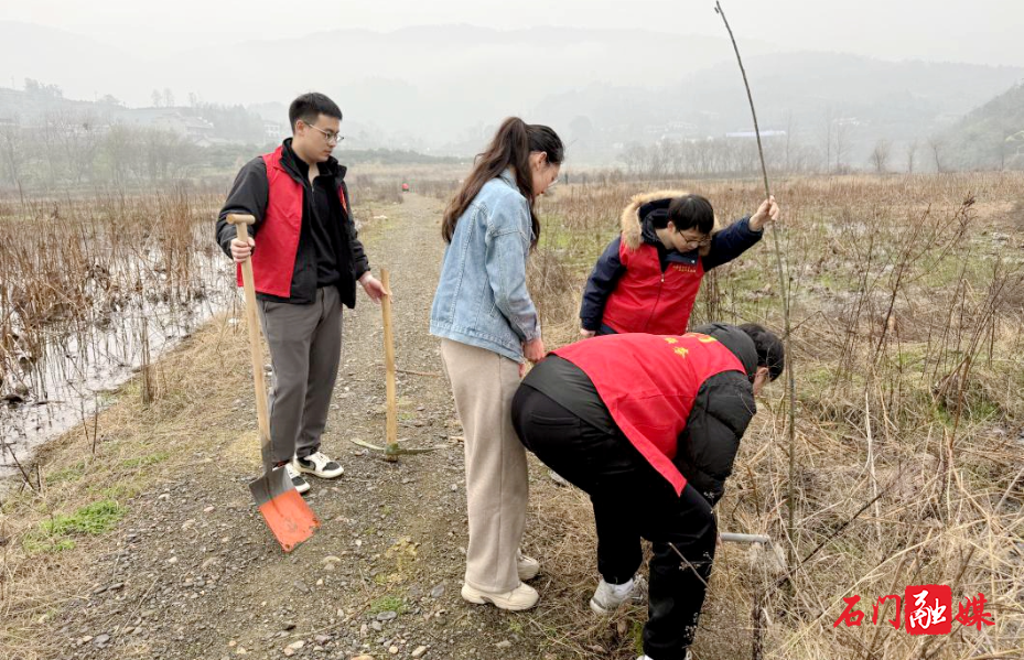 维新镇开展“履行植树义务，共建美丽石门”义务植树活动2.jpg