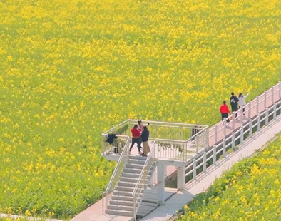 早春花信