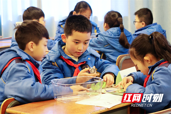 第二届 栗雨小学胡小玲《控制电路的通断》 (2).jpg