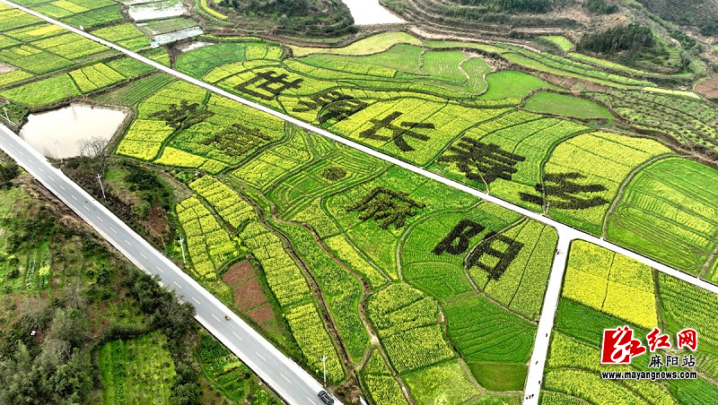 微信图片_20250321094006.jpg