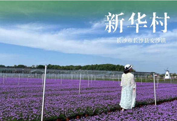 和美湘村去哪游 | 长沙市长沙县安沙镇新华村