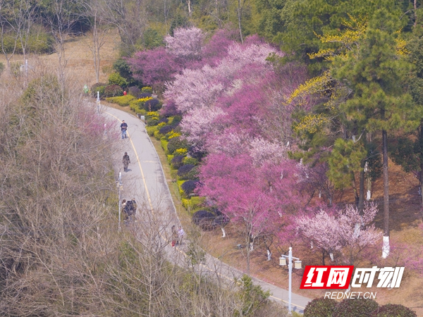 珍珠山.jpg