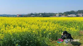 组图 | 湘潭县乌石镇：油菜花开春意浓