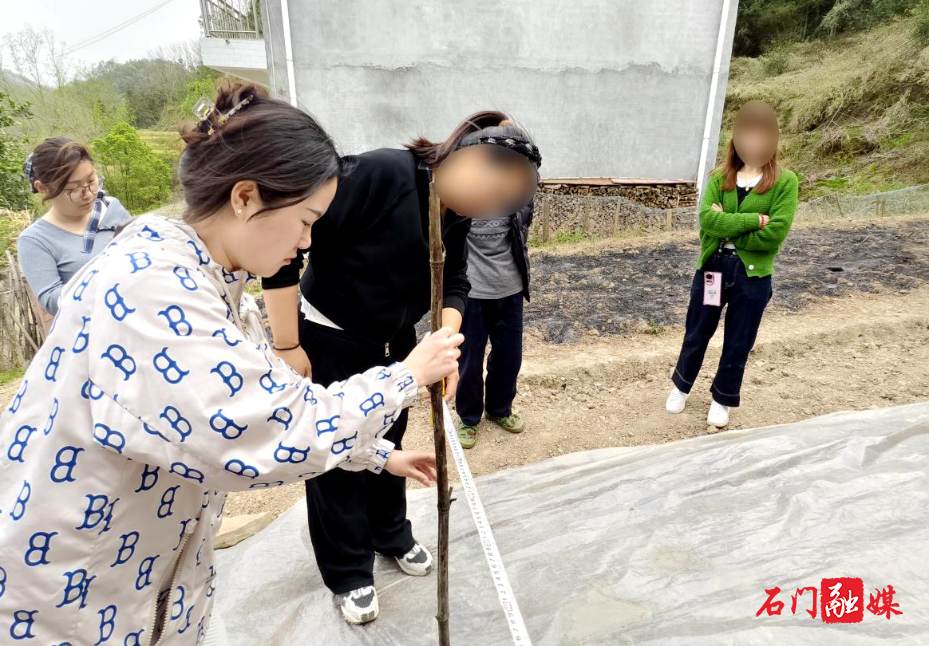 邻里纠纷成刑案 法官调解化干戈——石门法院妥善1.jpg 邻里纠纷成刑案 法官调解化干戈——石门法院妥善1.jpg