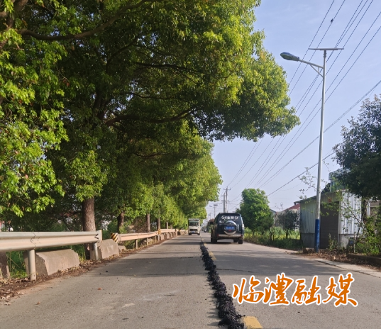 微信截图_20250410162129.png