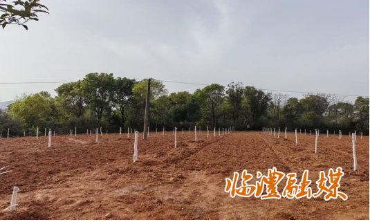 微信截图_20250416152207.png