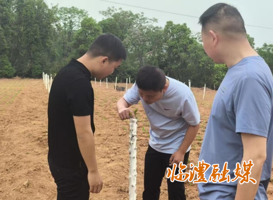 微信截图_20250416152157.png