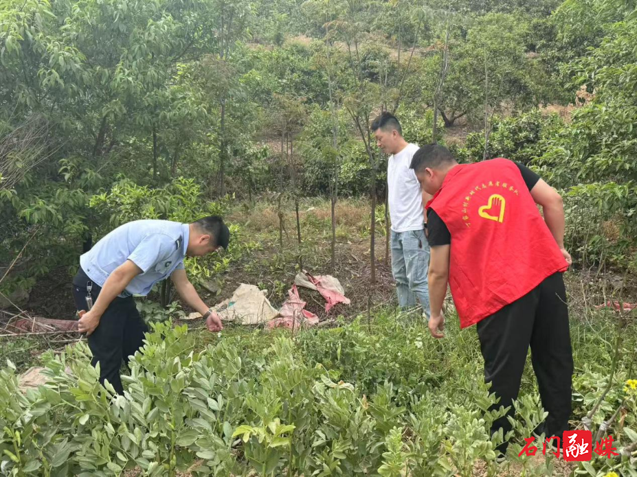 图片1.png