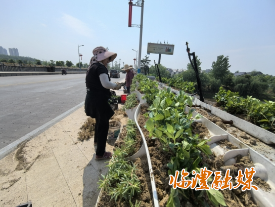微信截图_20250429150020.png