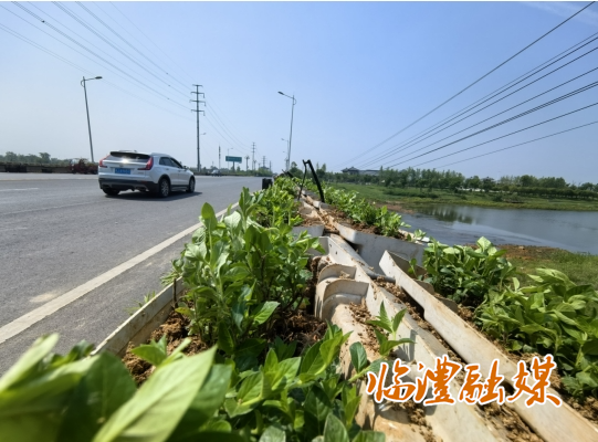 微信截图_20250429150137.png
