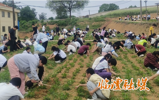 微信截图_20250430092940.png