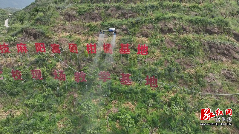 微信图片_20250430091255.jpg