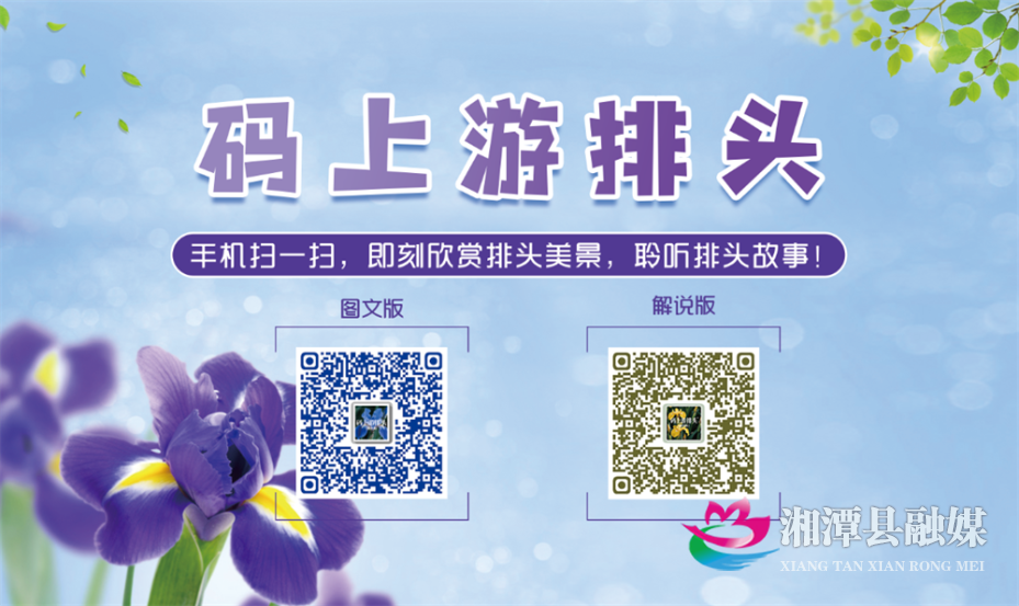 图片8.png