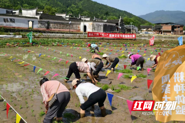 图片11.png