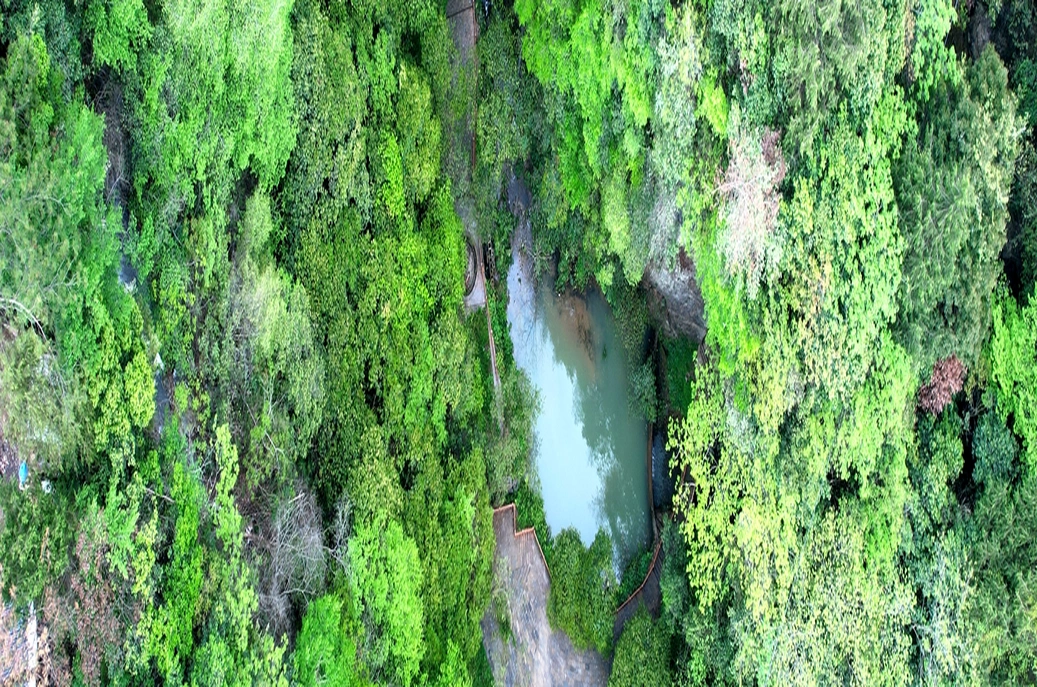 湖南旅游资源新发现丨深藏秘境人未识 湘西兰花洞现地质奇观