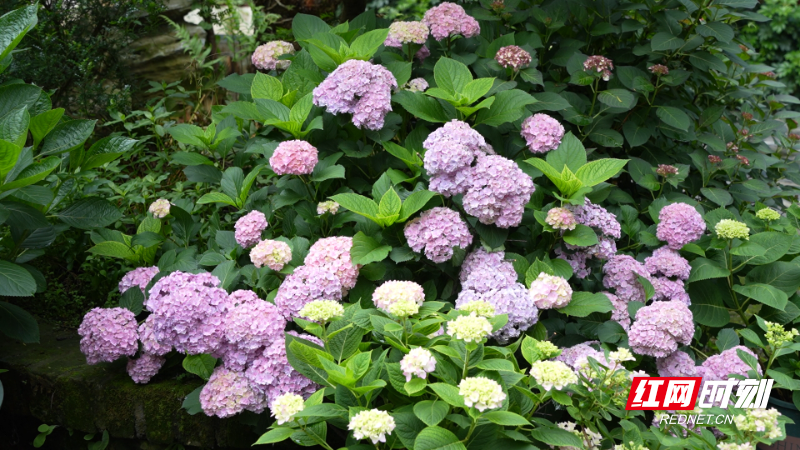 image019.jpg
