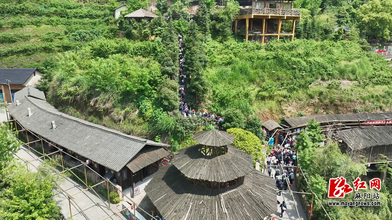 微信图片_20250430161705.png