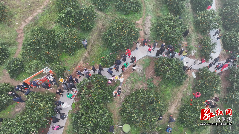 微信图片_20250430161723.png