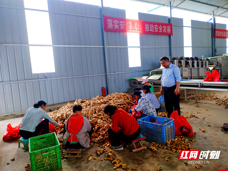 微信图片_20250515113827_副本_副本.jpg