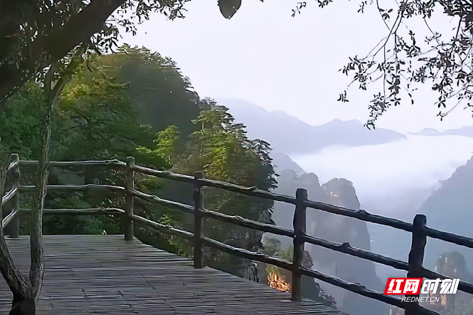 微信图片_20250516090123.jpg
