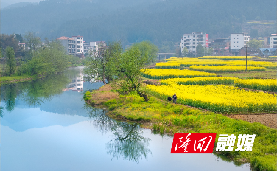 012故乡.花溪畔牧影谢文喜.jpg