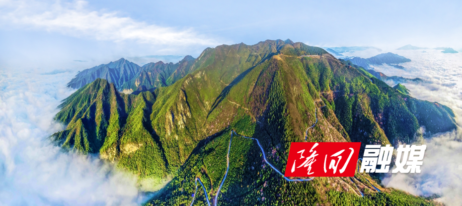 120故乡.雾漫大东山欧阳先登.jpg