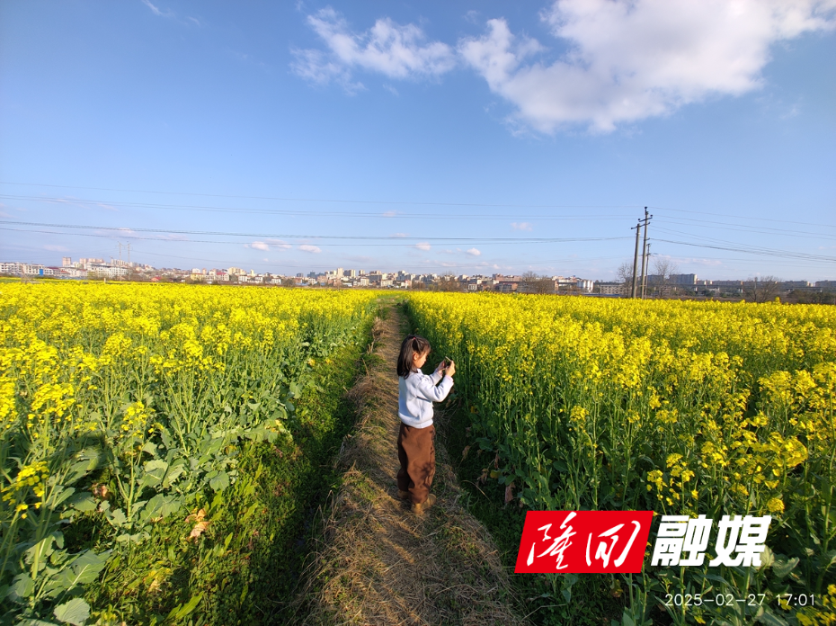 花海小摄影师 -胡彬18673973681_副本.jpg