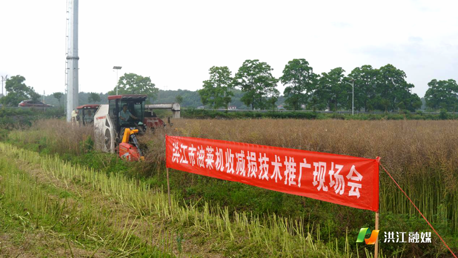 推进油菜机收减损.png