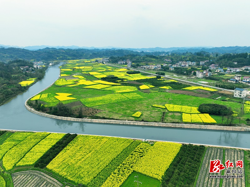 锦和镇滑石江小流域整治提升后沿岸景象.jpg