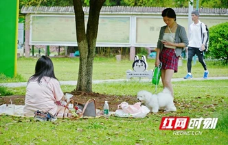 衡阳平湖公园开启“人从众”模式