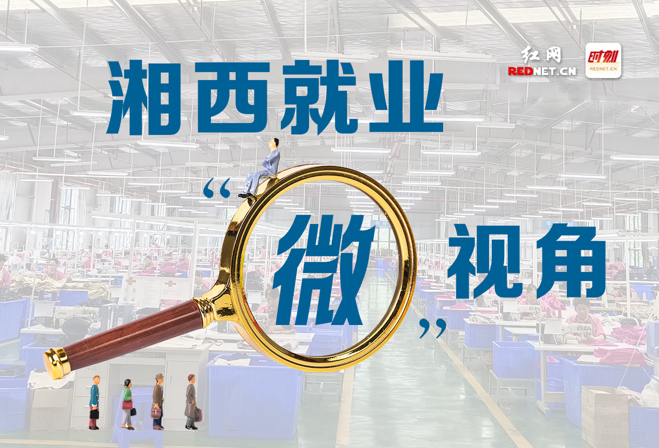 专题丨湘西就业“微”视角
