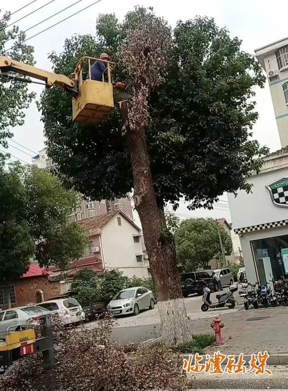 微信截图_20250526160555.png