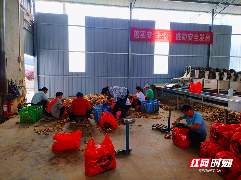 微信图片_20250526152944_副本_副本.jpg