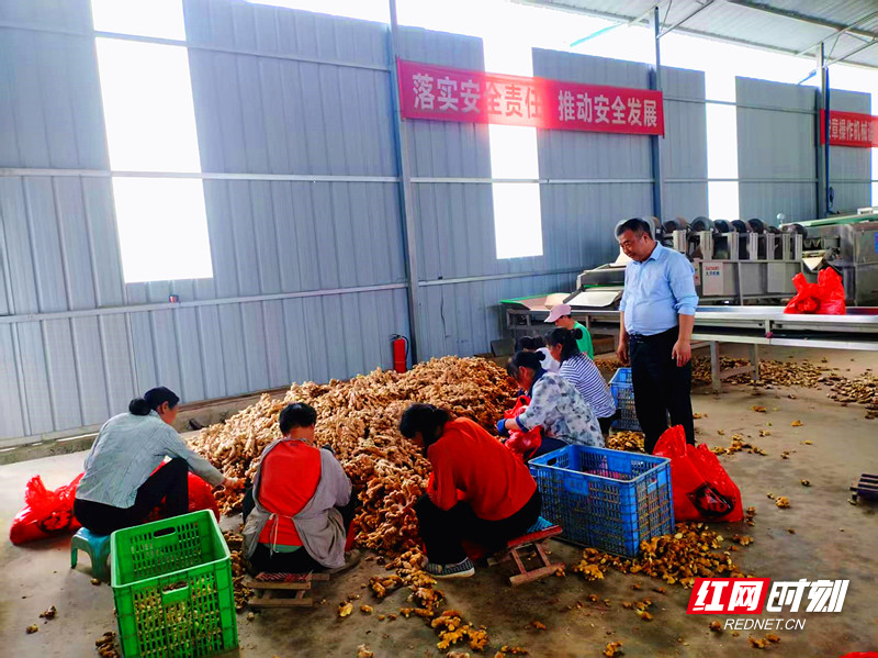 微信图片_20250526152952_副本_副本.jpg
