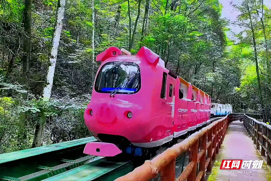 微信图片_20250527115155.jpg