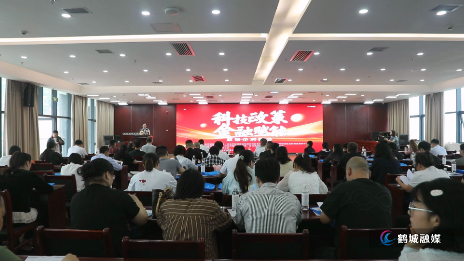 鹤城区举办“科技政策+金融赋能”政银企对接会.mp4_000000.419.png