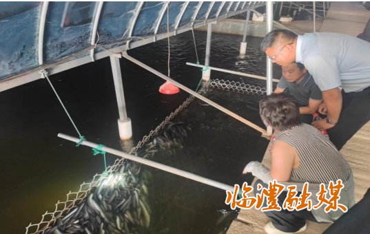 微信截图_20250605154156.png