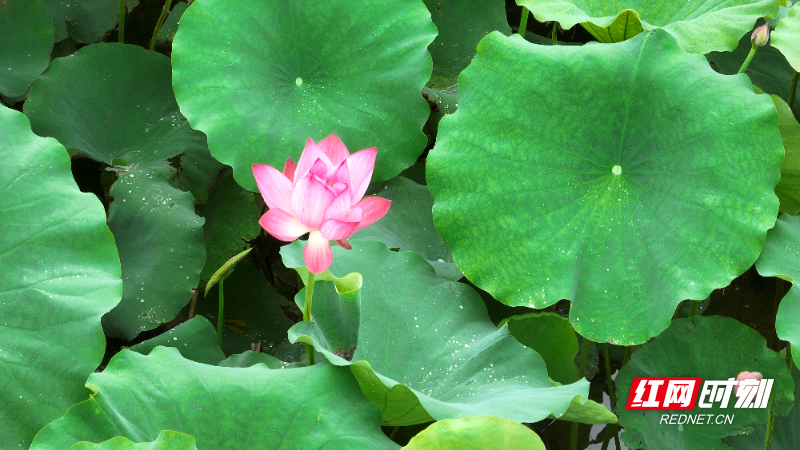 image001.jpg