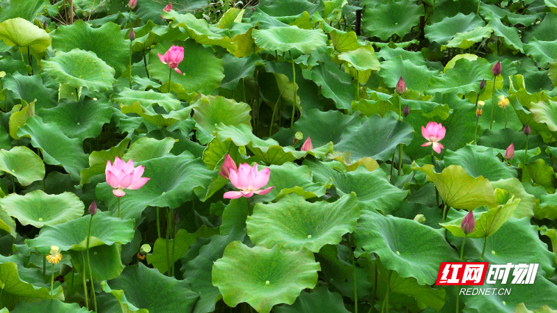 image005.jpg