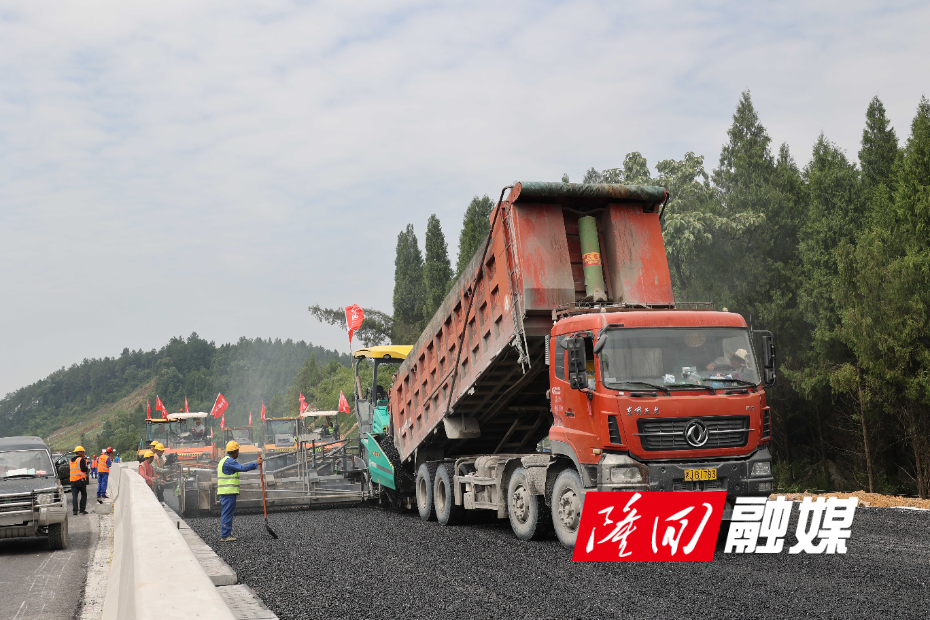 DL7A2774_new.JPG