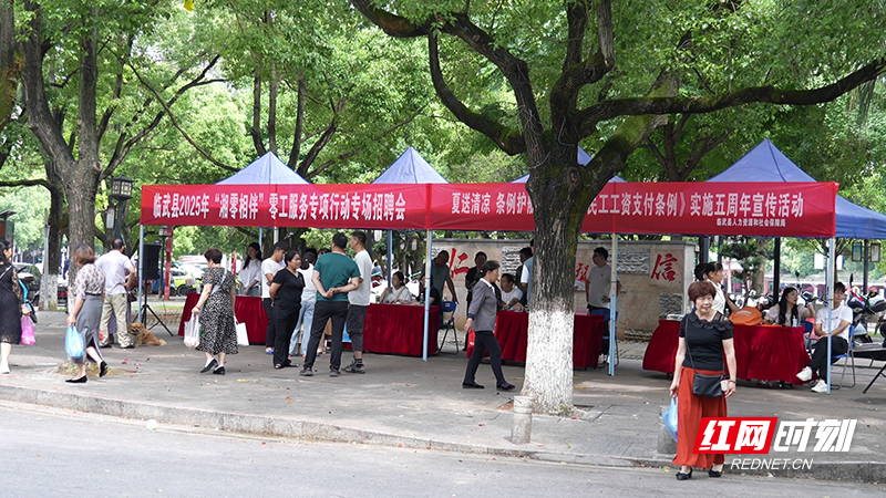 图片5.jpg