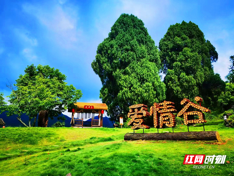 微信图片_20250609182311_副本_副本.jpg