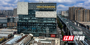 从咖啡到鲜花，探路中非经贸的共赢密码