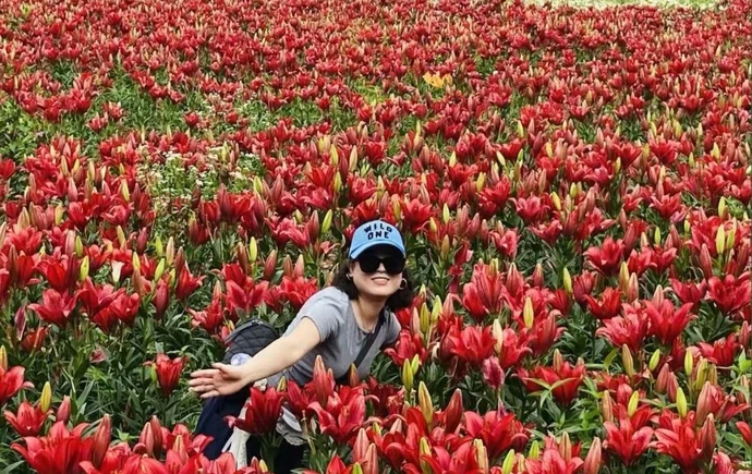 龙山县百合“花海经济”：农文旅融合促各民族交往交流交融