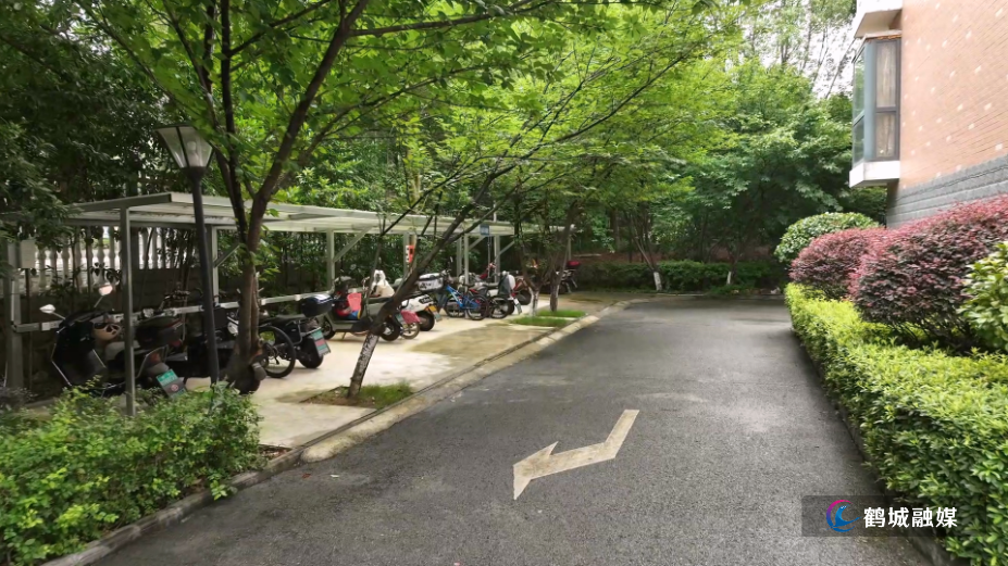 河西街道：“走找想促”破解老旧小区治理难题 不断提升基层治理质效（半成品）01.mp4_000113.938.png