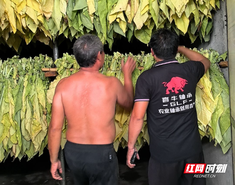 f5687c15e2d9bca088d0152f42b074f_副本.jpg