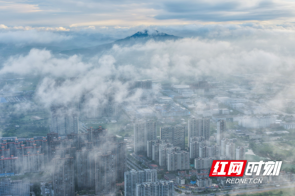 DJI_20250614061356_0060_D 拷贝.jpg